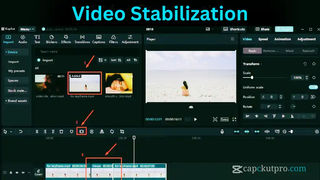 Video Stablilization
